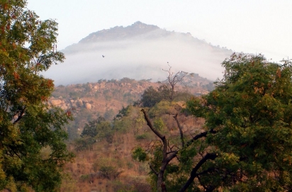 wrapped in morning mists