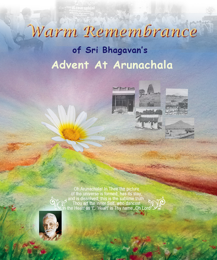 18-0901 advent-greetings