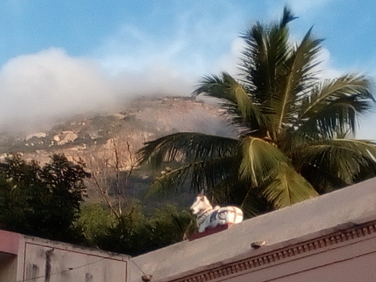 21-0311-071010, sivaratri