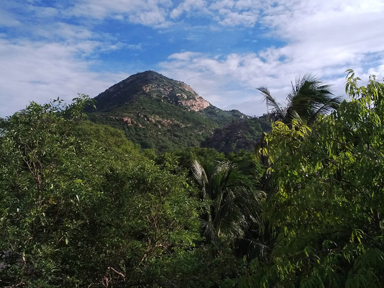 21-0726 guru purnima