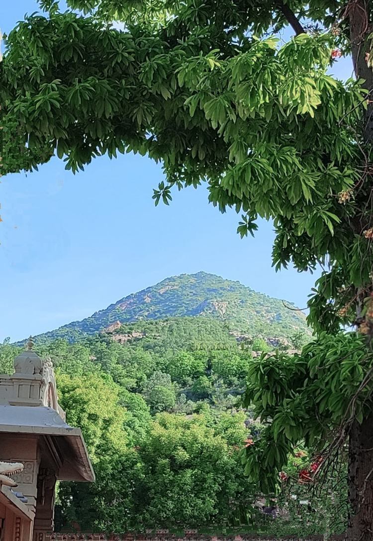 21-0726-wa0026, guru purnima