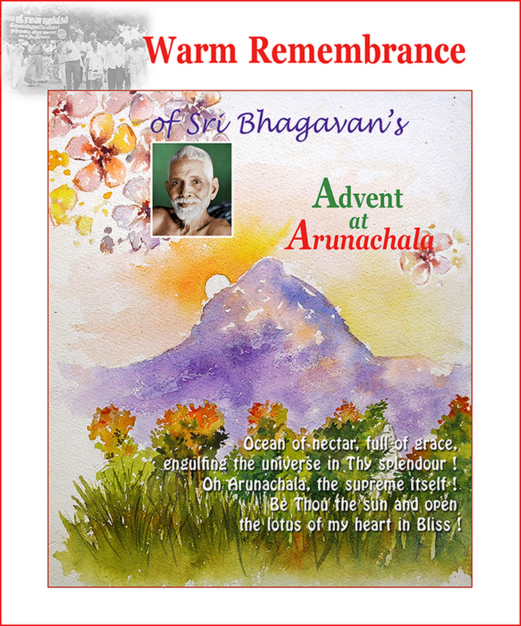 21-0109- Advent greetings