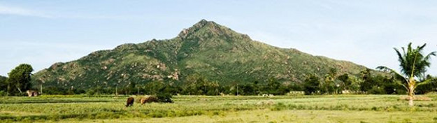 view from the West/So.West