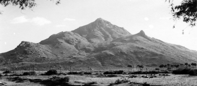 view of Arunachala from the northeast