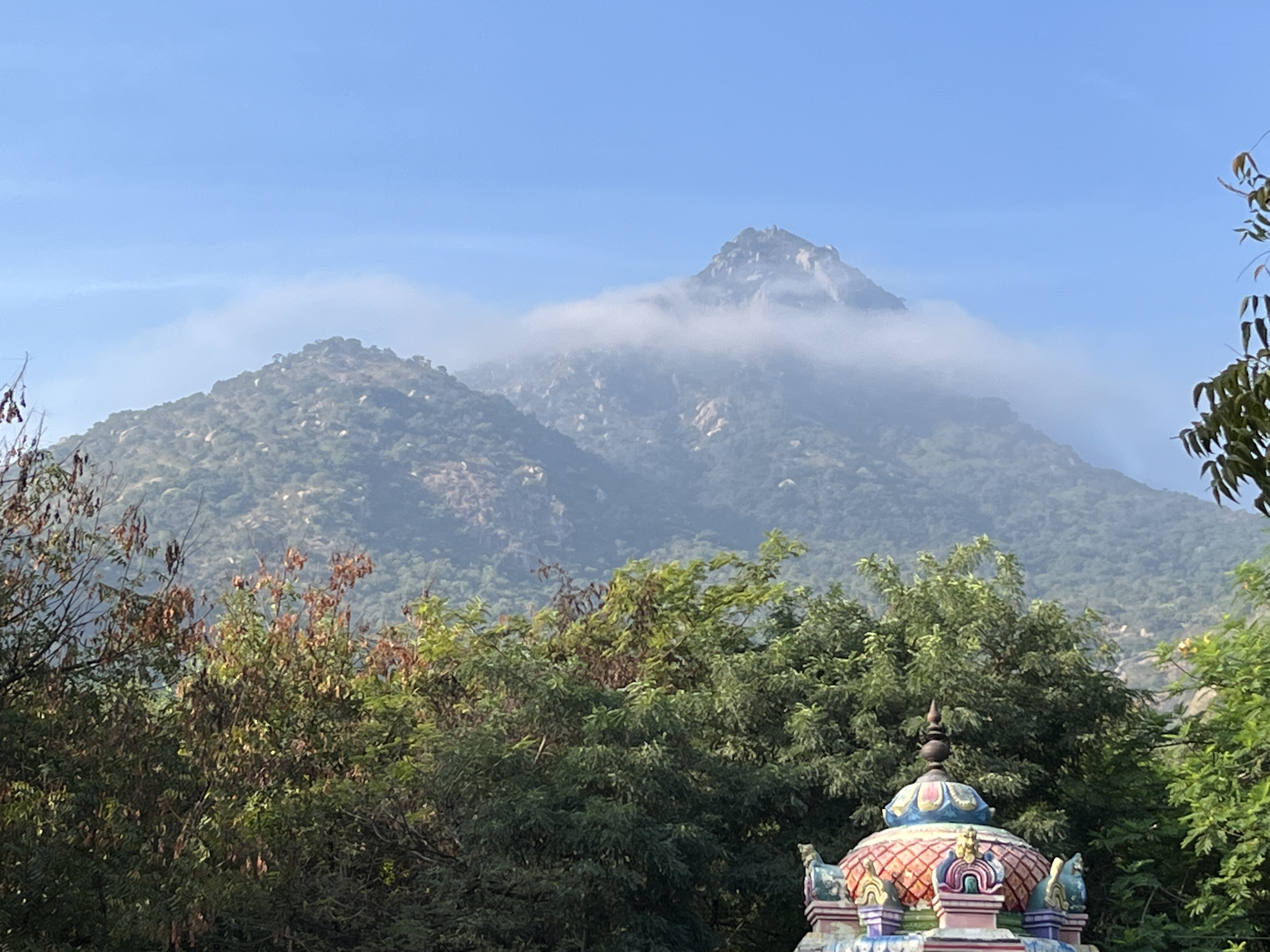 virupaaksha newsgroup; Peter Berking, 23-0205 08:11:57