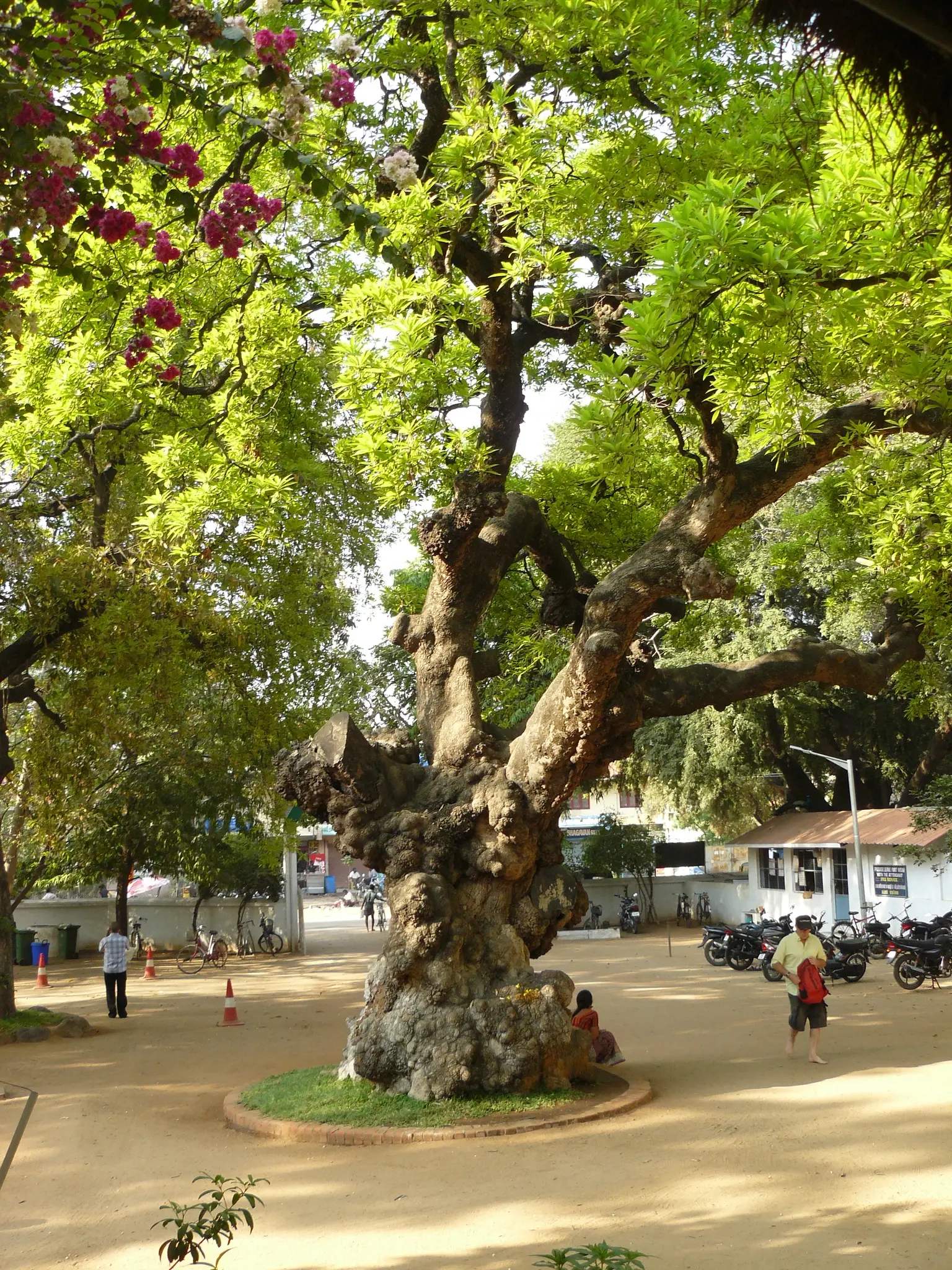 front courtyard of Ramanasram