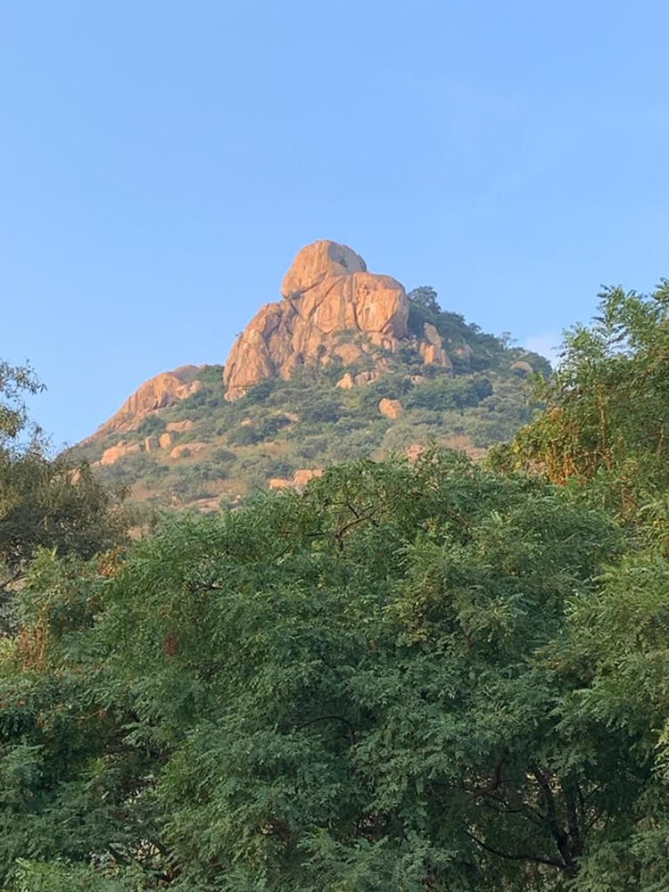 01 Sep 2020, sent by Diana