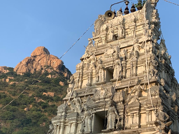 01 Sep 2020, sent by Diana