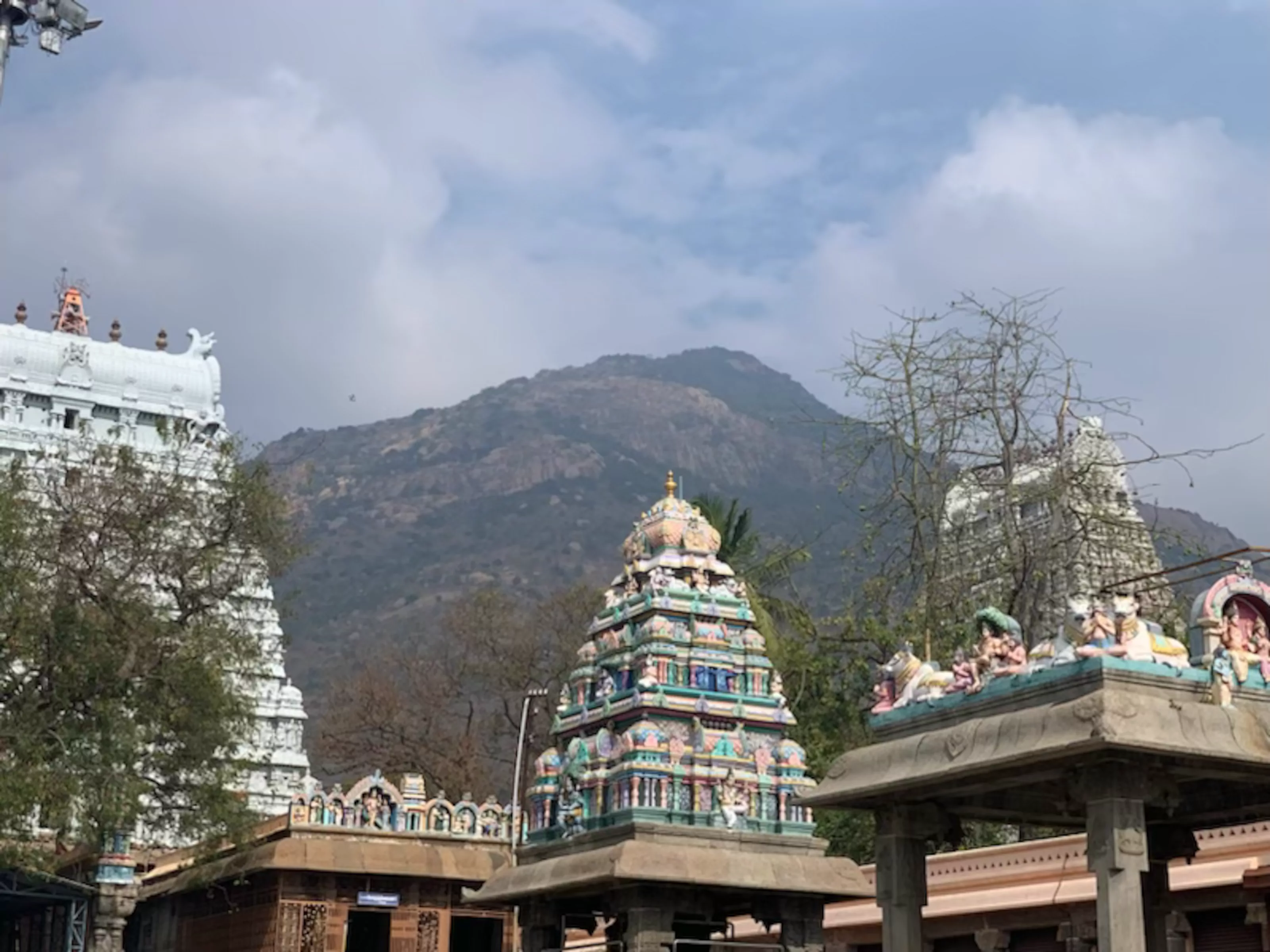 23-0310-092917, img-0034.heic