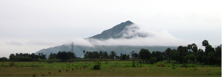 Cloud Piercing, Anna K.