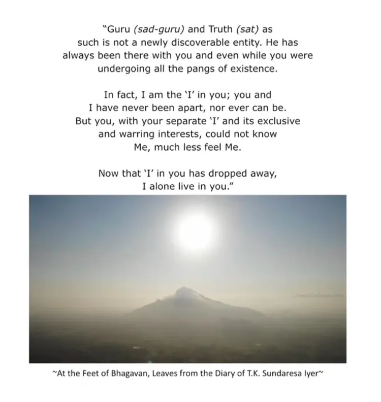 a daily quote from Amy