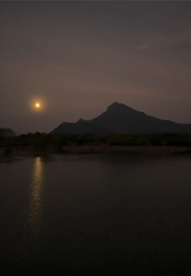 sarandashna moorthy, from Kotambal, Chengam Rd, 23-0205 08:46 IST