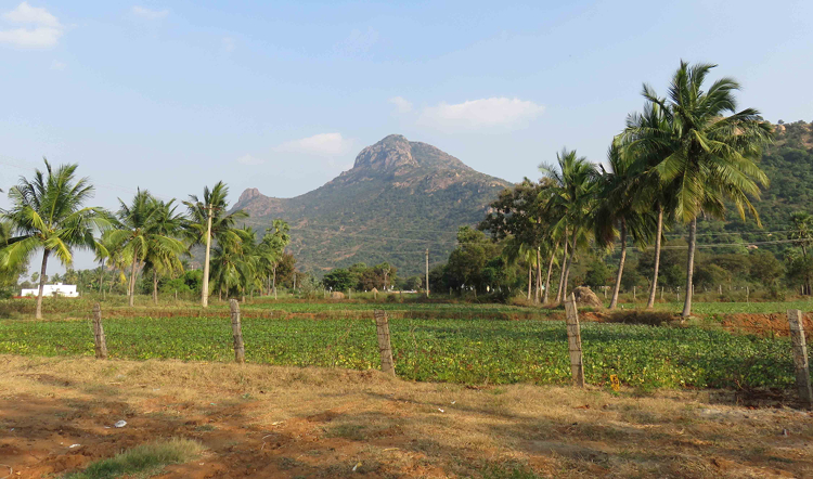 taken by Mark Evens, Jan 2019, sent by Mami