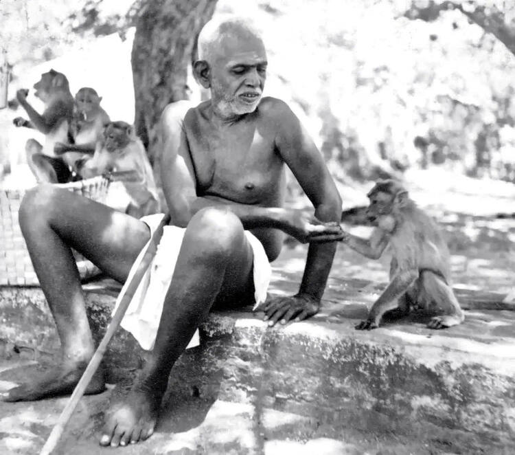 Monkey receiving prasad from Bhagavan
click to see a larger image Monkey receiving prasad from Bhagavan