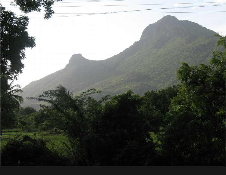 Siva Shakti
click to see a larger image Siva Shakti