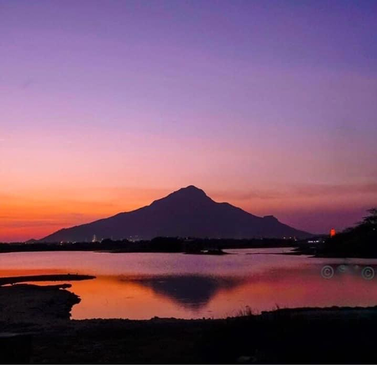 Where the mind is Home