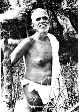 bhagavan-in-the-briars