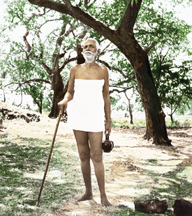 Bhagavan Ramana