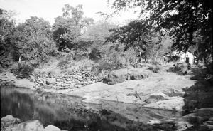 Brunton's cottage in Palakothu
