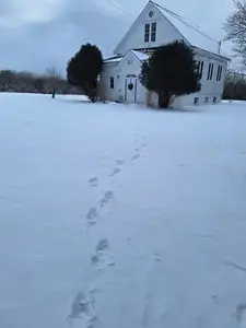 Heat was in the very sod... [2024-0130-110515]