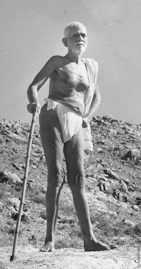With the help of a cane, Sri Ramana Maharshi takes a walk at the foot of the sacred mountain. Though slightly lame, Sri Ramana has a vigorous constitution, lives with a yogi's abstemiousness