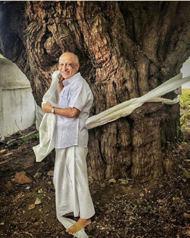 Mani placing silk kathas on the Ashram's tamarind tree, 2018
