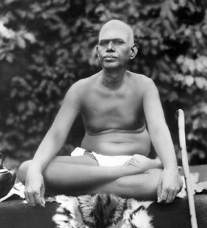 Bhagavan seated on the tiger skin