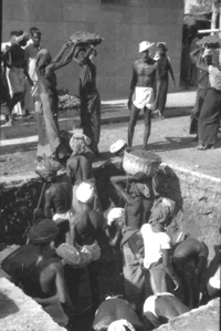 digging the grave, image 2 digging the grave, image 2