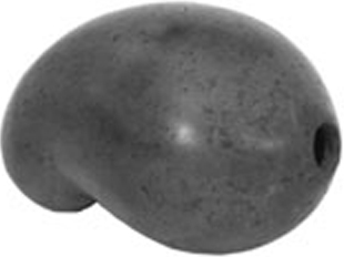 Bilva seed carved by Sri Bhagavan