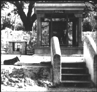 Bhagavan's canine companion, Jackie II